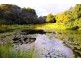82 Fraser Road, Dunoon NSW 2480