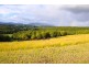 82 Fraser Road, Dunoon NSW 2480