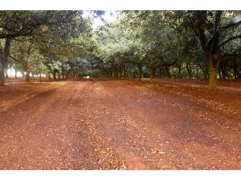 Lot 1, 109 The Channon Road, Dunoon NSW 2480