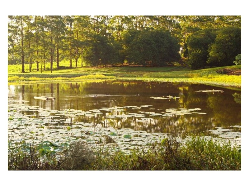 Lot 1, 109 The Channon Road, Dunoon NSW 2480