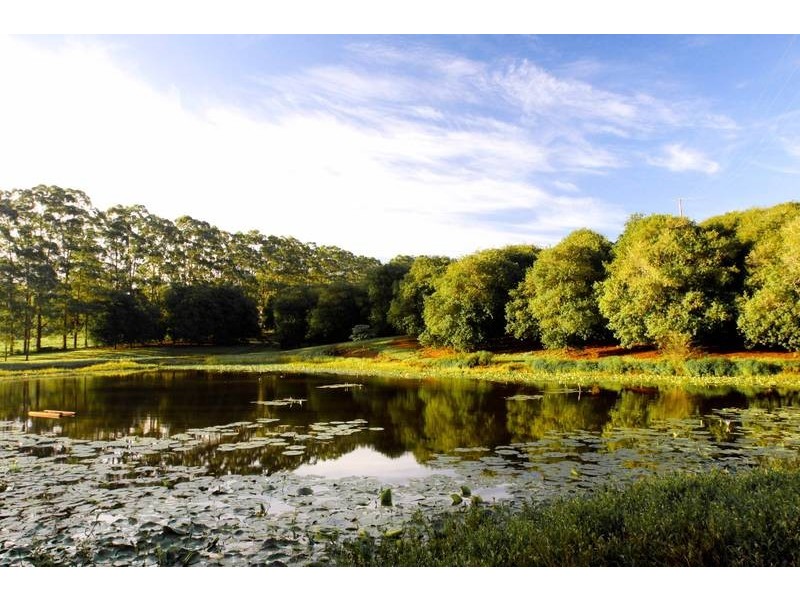 Lot 1, 109 The Channon Road, Dunoon NSW 2480