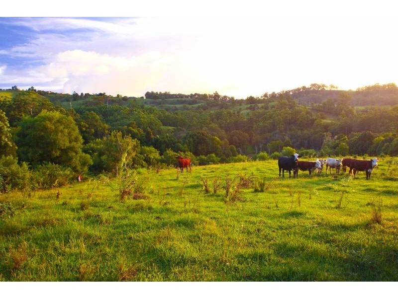 Lot 2, 109 The Channon Road, Dunoon NSW 2480