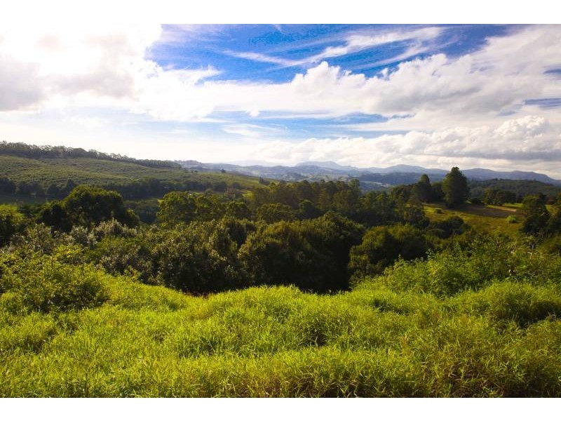 Lot 2, 109 The Channon Road, Dunoon NSW 2480
