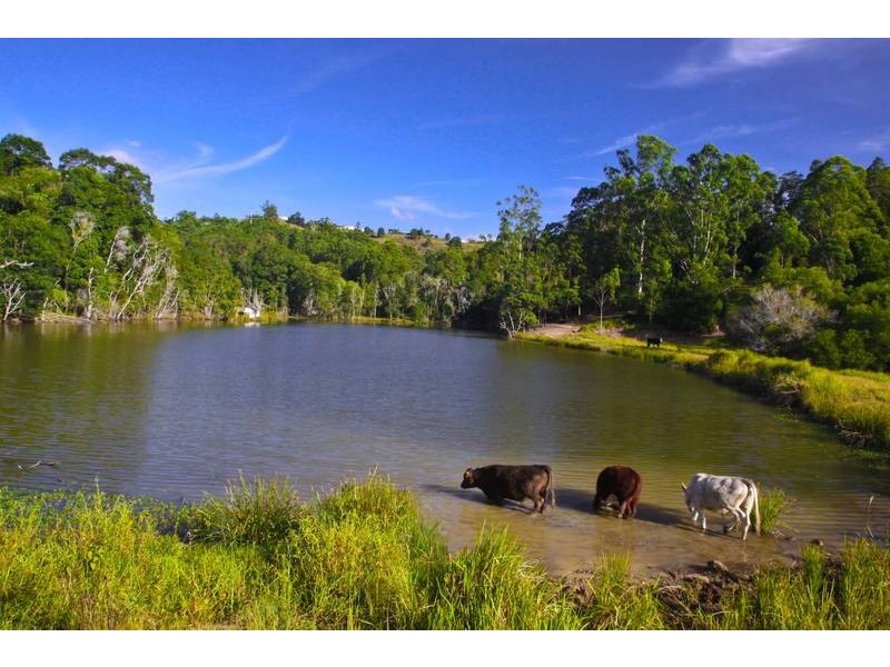 Lot 2, 109 The Channon Road, Dunoon NSW 2480