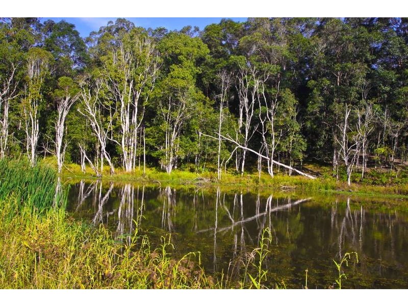 Lot 2, 109 The Channon Road, Dunoon NSW 2480