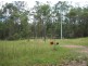 Lot 11 Myall Creek Road, Bora Ridge NSW 2471