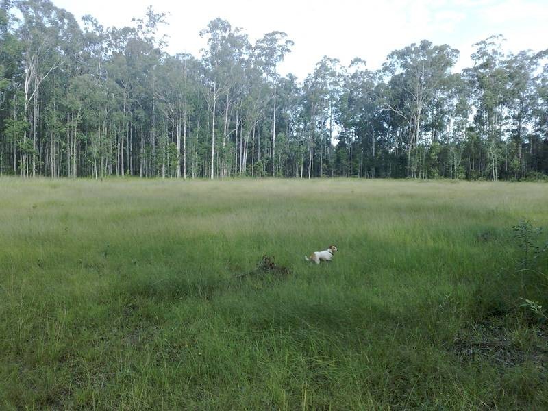 Lot 11 Myall Creek Road, Bora Ridge NSW 2471