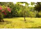 1781 Dunoon Road, Dunoon NSW 2480
