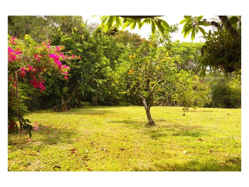 1781 Dunoon Road, Dunoon NSW 2480
