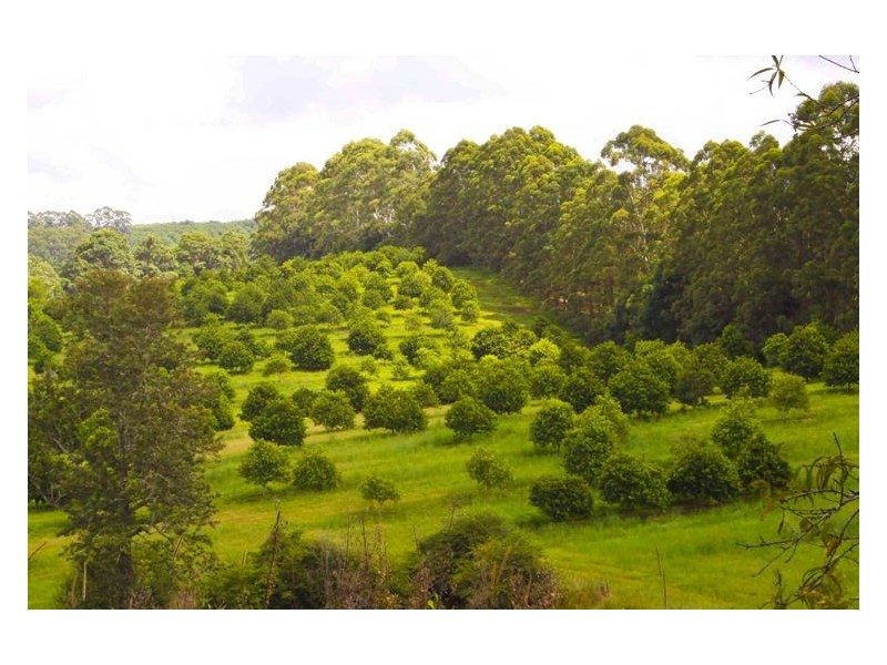 1781 Dunoon Road, Dunoon NSW 2480