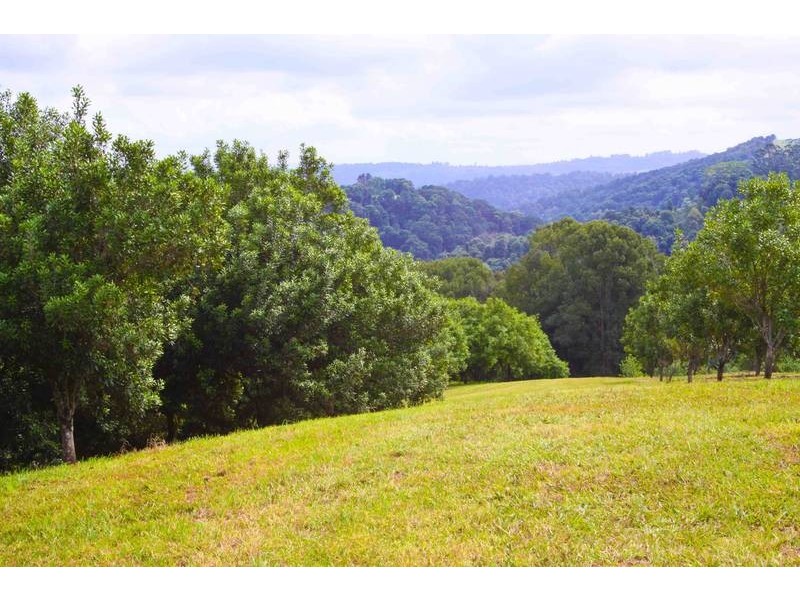 1781 Dunoon Road, Dunoon NSW 2480