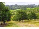 1781 Dunoon Road, Dunoon NSW 2480