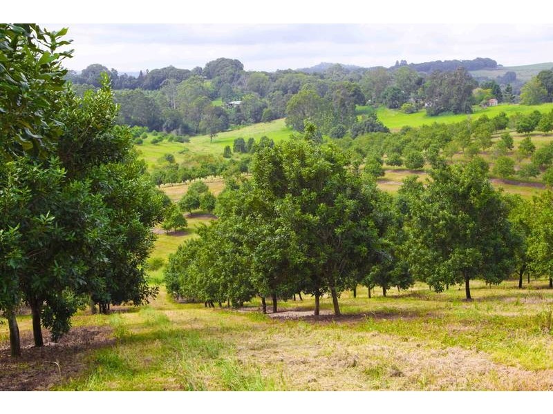 1781 Dunoon Road, Dunoon NSW 2480