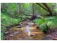 1781 Dunoon Road, Dunoon NSW 2480