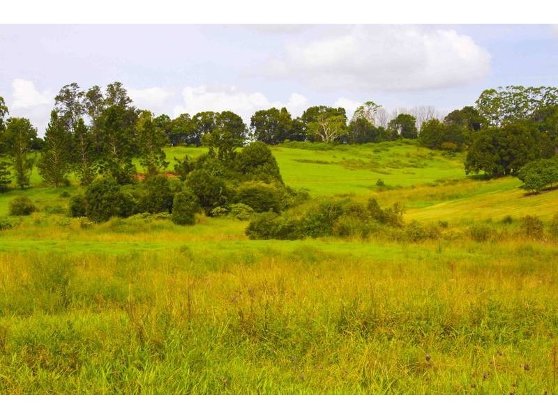 1781 Dunoon Road, Dunoon NSW 2480