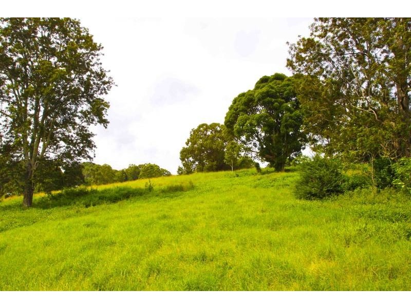 1781 Dunoon Road, Dunoon NSW 2480