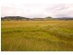 27 Rifle Range Road, Tuncester NSW 2480