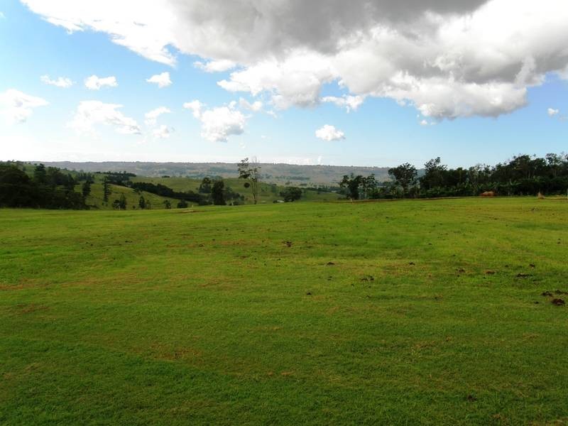 Lot 6 Minshul Crescent, Tullera NSW 2480