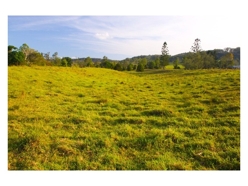 1 Cawongla Road, Rock Valley NSW 2480