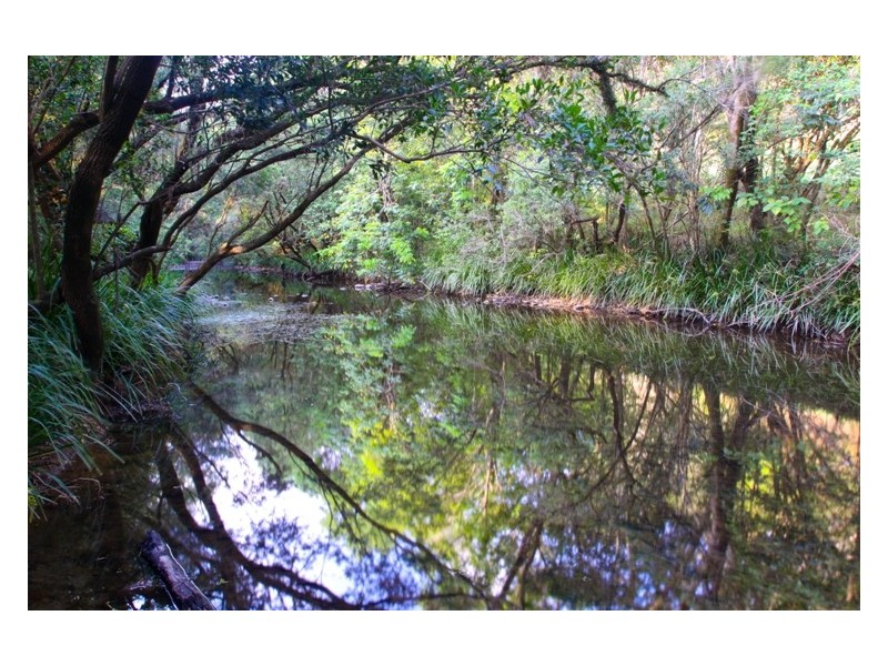 1 Cawongla Road, Rock Valley NSW 2480