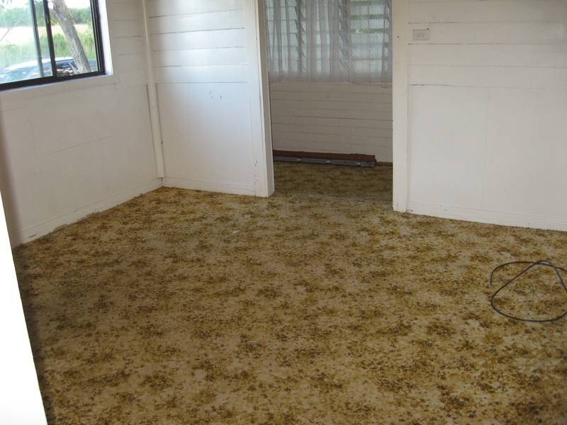982 Dunoon Road, Modanville NSW 2480