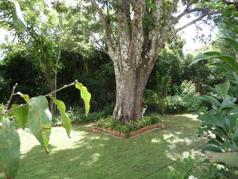 53 O’Flynn Street, Lismore Heights NSW 2480