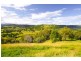 517 PINCHIN ROAD, Goolmangar NSW 2480