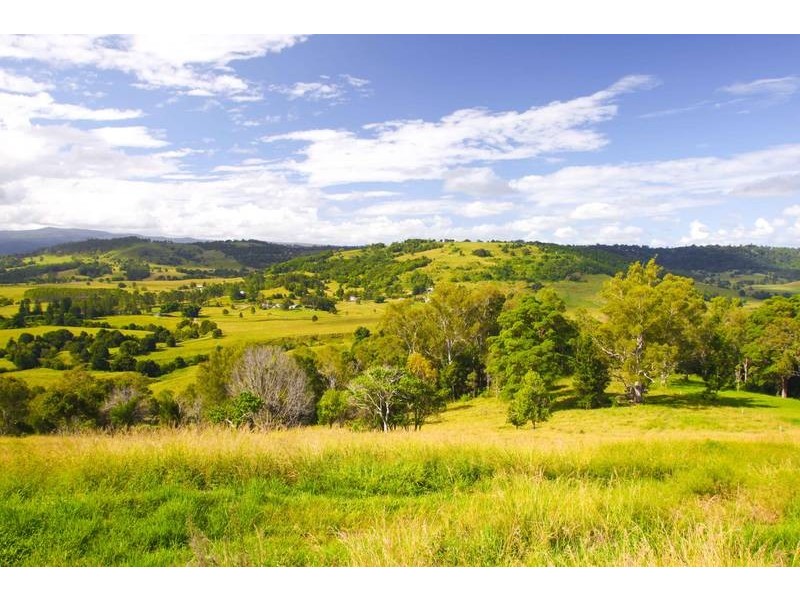 517 PINCHIN ROAD, Goolmangar NSW 2480