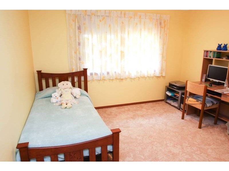 517 PINCHIN ROAD, Goolmangar NSW 2480