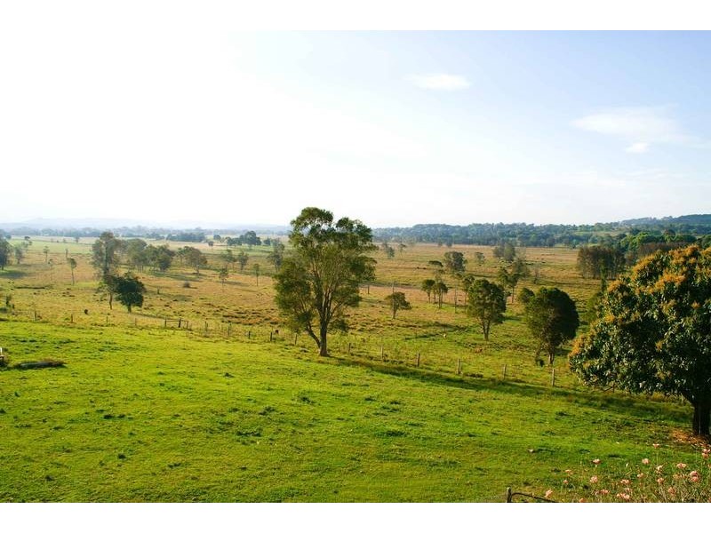 1238 WYRALLAH ROAD, Wyrallah NSW 2480