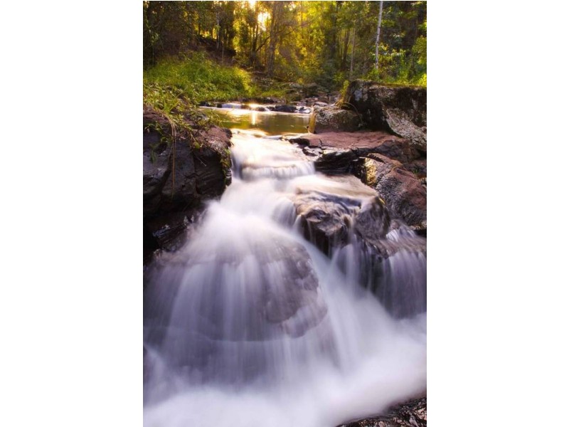 511 Whian Whian Road, Whian Whian NSW 2480