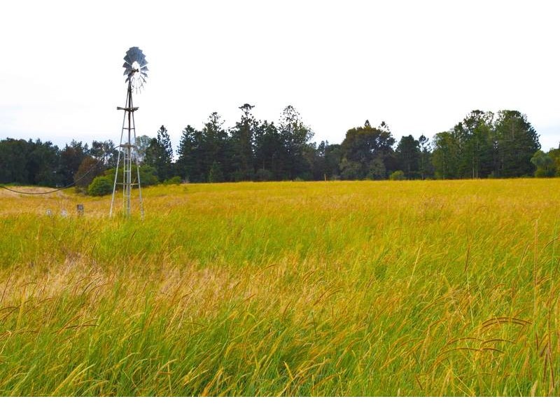 55 WAGNERS ROAD, Tatham NSW 2471