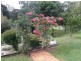 723 Ballina Road, Goonellabah NSW 2480