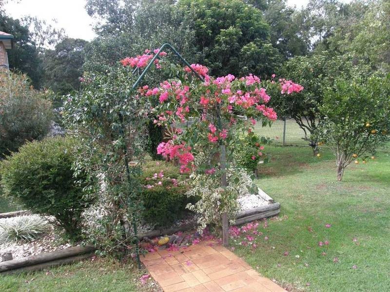 723 Ballina Road, Goonellabah NSW 2480