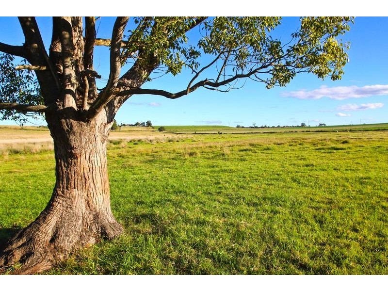 3960 BRUXNER HIGHWAY, Casino NSW 2470