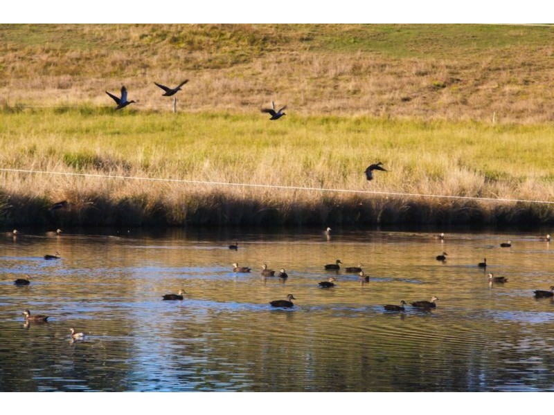 3960 BRUXNER HIGHWAY, Casino NSW 2470