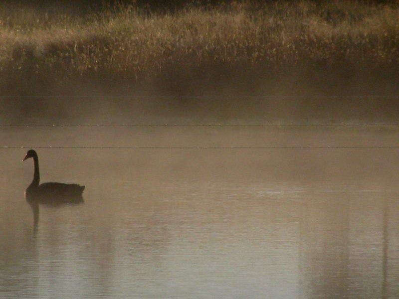 3960 BRUXNER HIGHWAY, Casino NSW 2470