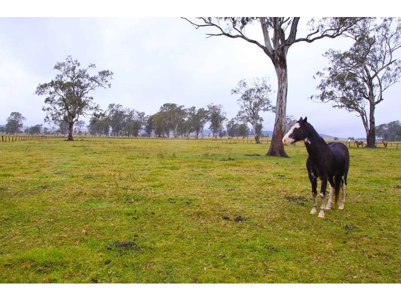 12215 Summerland Way, Fairy Hill NSW 2470