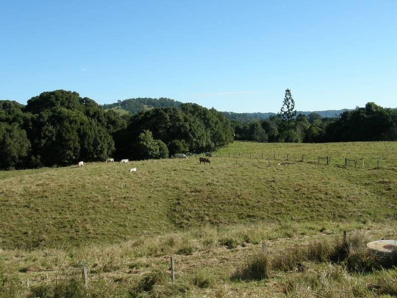 1123 Nimbin Road, Goolmangar NSW 2480