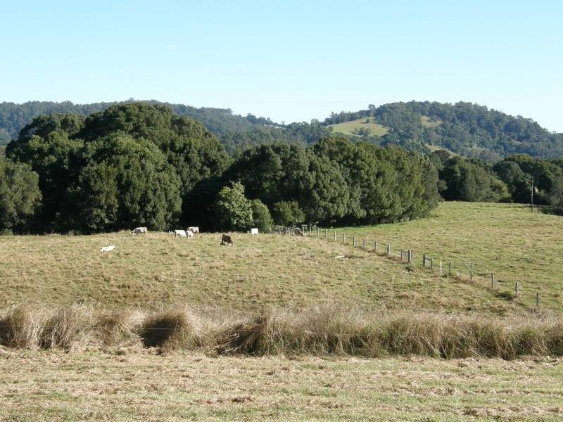 1123 Nimbin Road, Goolmangar NSW 2480