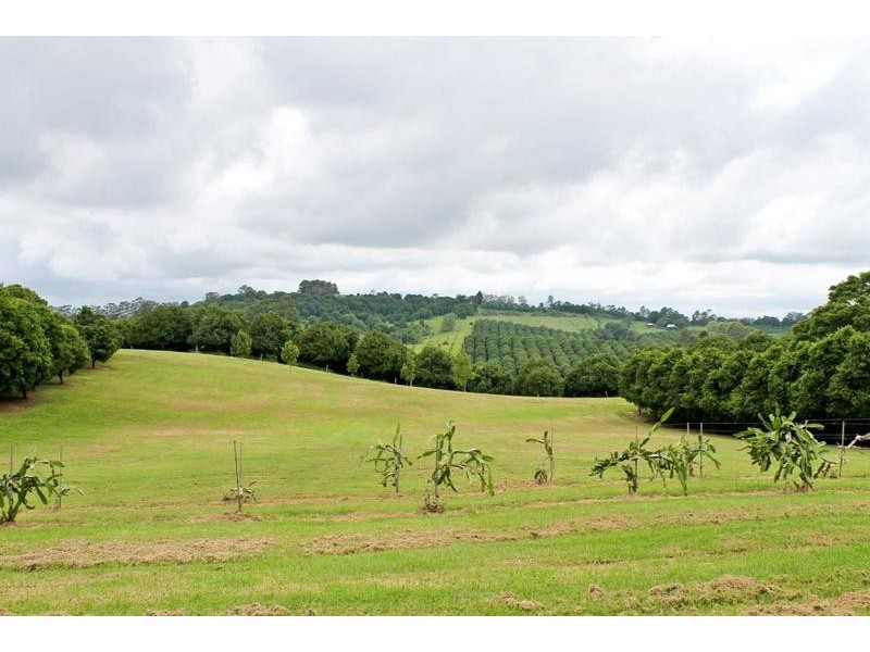 145 Fraser Road, Dunoon NSW 2480