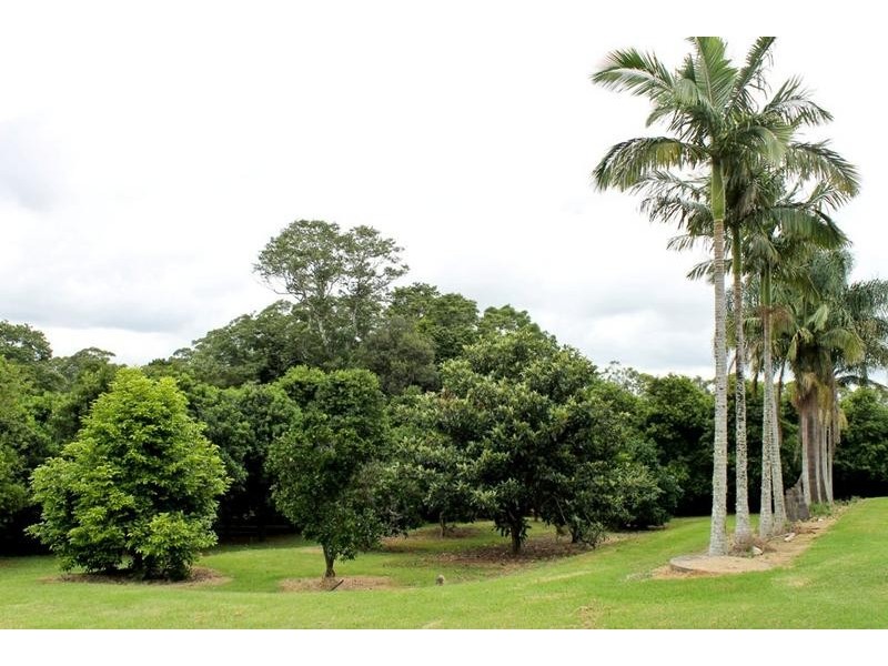 145 Fraser Road, Dunoon NSW 2480