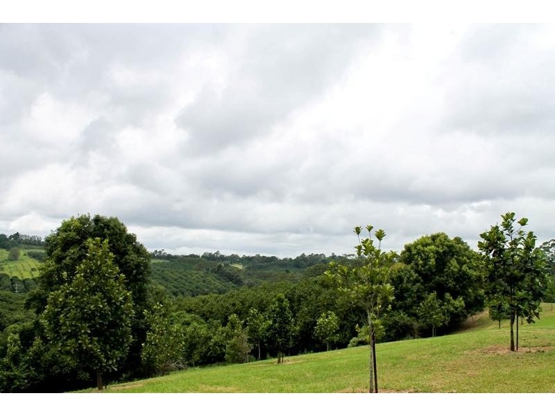 145 Fraser Road, Dunoon NSW 2480