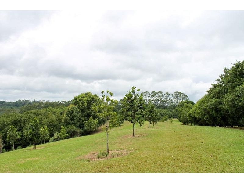 145 Fraser Road, Dunoon NSW 2480