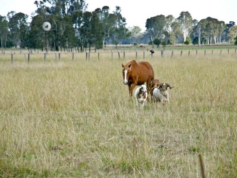 150 Tomki-Bight Road, Greenridge NSW 2471