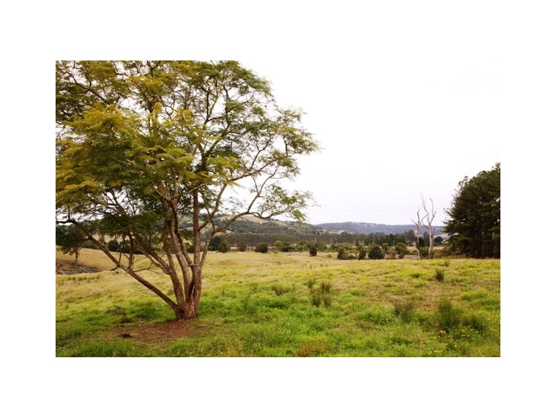 745 Pinchin Road, Goolmangar NSW 2480