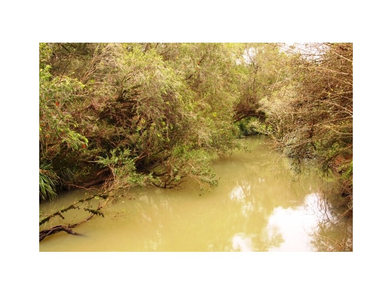 745 Pinchin Road, Goolmangar NSW 2480