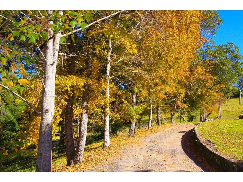 182 Tuckurimba Road, Tuckurimba NSW 2480
