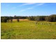 182 Tuckurimba Road, Tuckurimba NSW 2480