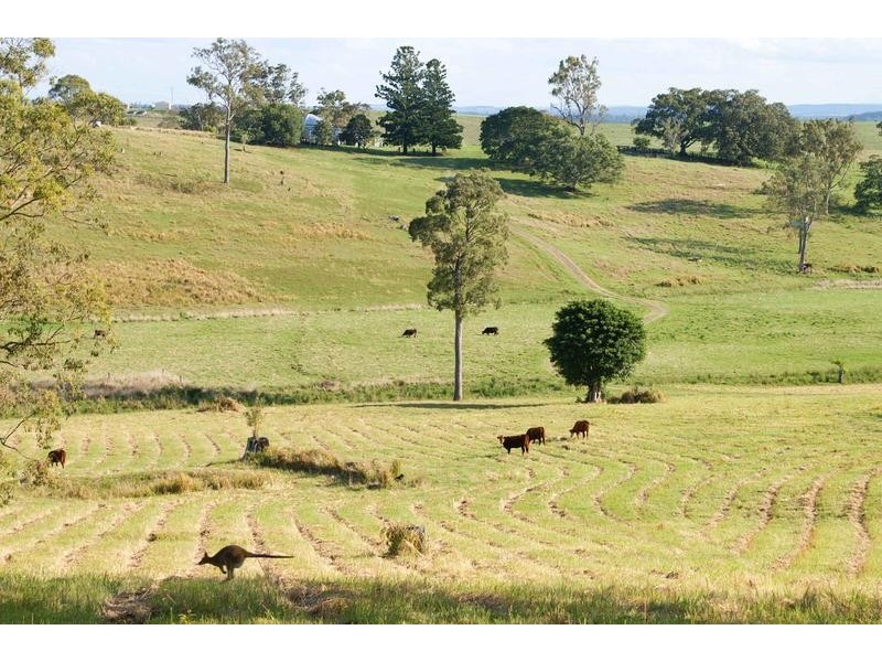 180 Runnymede Road, Kyogle NSW 2474